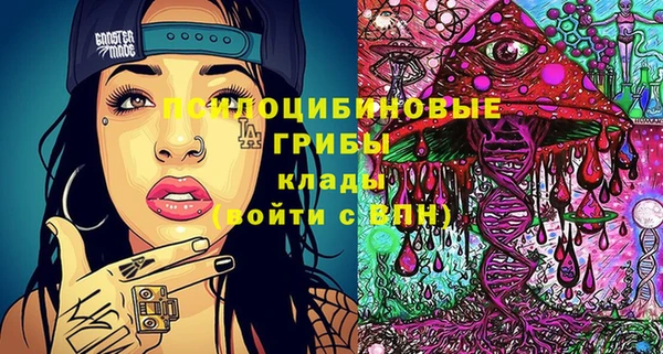 не бодяженный Новозыбков
