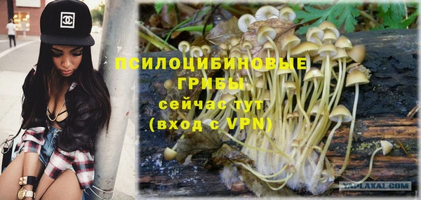 не бодяженный Новозыбков