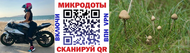 Псилоцибиновые грибы прущие грибы  MEGA ссылки  Нижняя Тура 
